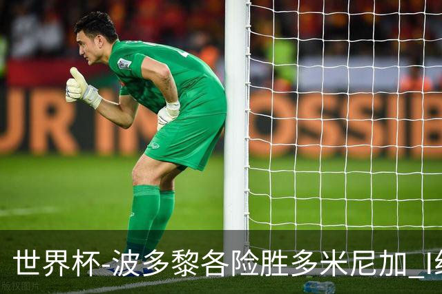 世界杯-波多黎各险胜多米尼加 I组4队均3胜1负