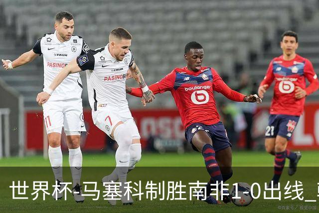 世界杯-马塞科制胜南非1-0出线 韩国积3分获小组第三待定