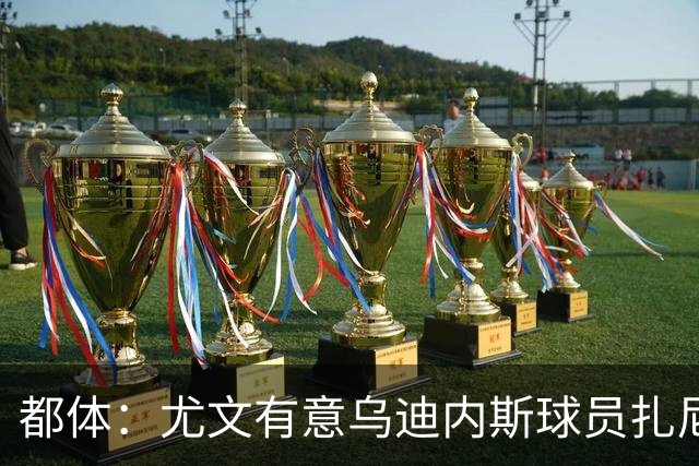 都体：尤文有意乌迪内斯球员扎尼奥洛，想把卡巴尔阿季奇加入谈判