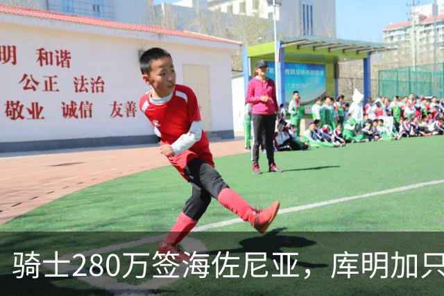 骑士280万签海佐尼亚，库明加只剩湖人一个下家